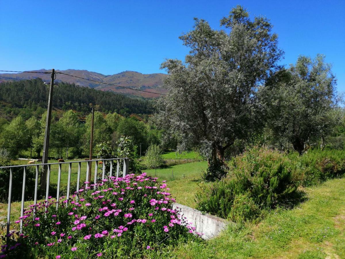 Casas De Alvite Hotel Cerva Buitenkant foto